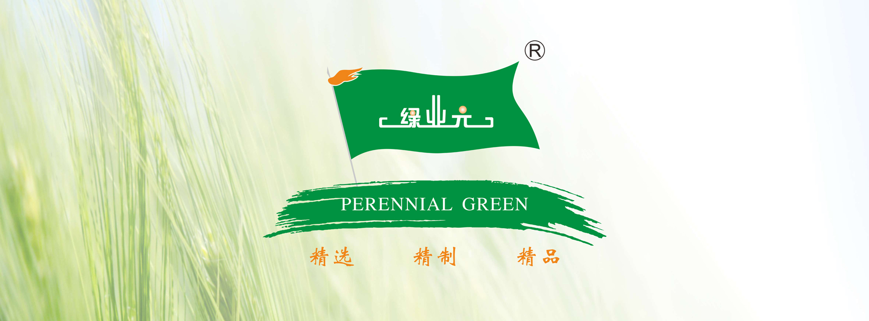 【农业】“绿业元”签约巨沃，助力集团仓储中心数字化升级