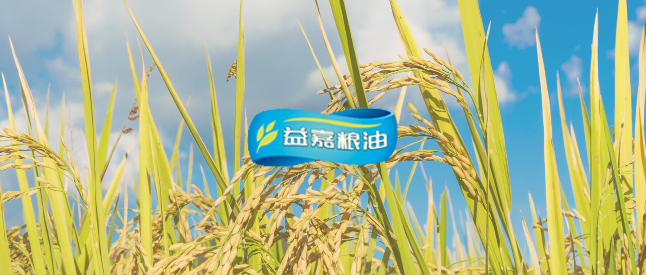 【食品】“益嘉粮油”签约巨沃，实现仓储全业务场景数字化管理