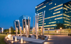 鸡年第一发——巨沃携手三雄极光