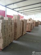 双十一巨沃与百丽在一起